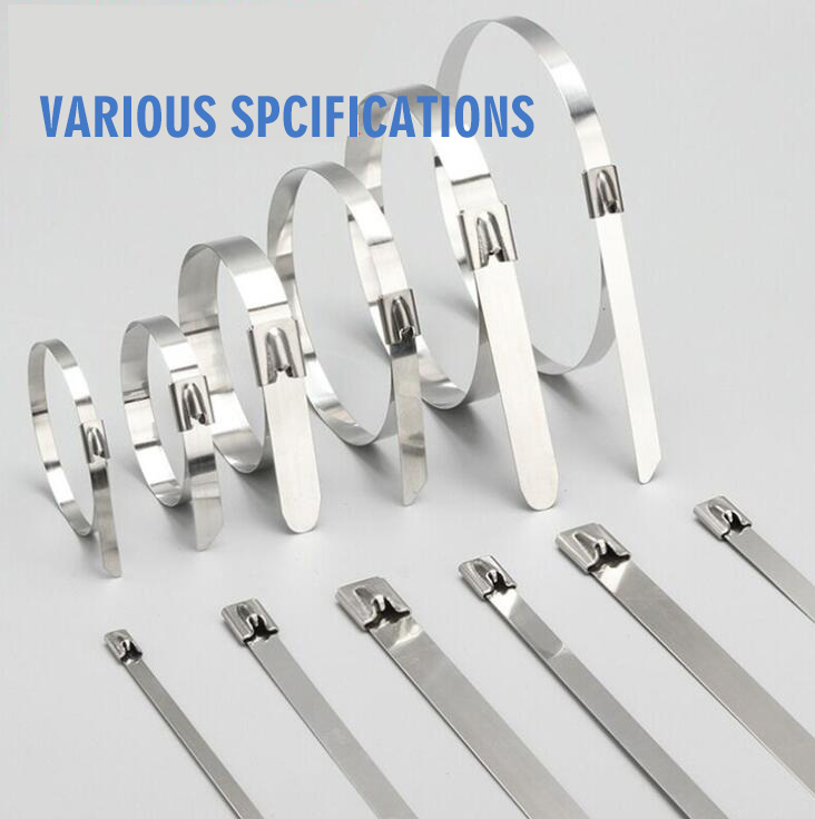 Lionsseal stainless steel cable tie
